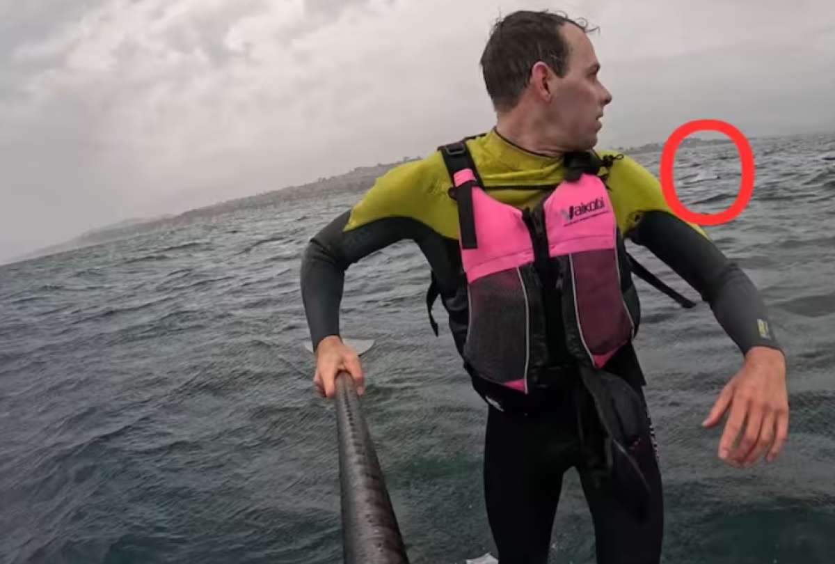 Los deportistas intentaron mantenerse en movimiento para evitar caer al agua durante el encuentro con el tibur&oacute;n.