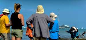 Los turistas de cruceros observan la forma como los pescadores bajan su producto de las lanchas a la orilla del mar en la playa de Tarqui, en Manta.
