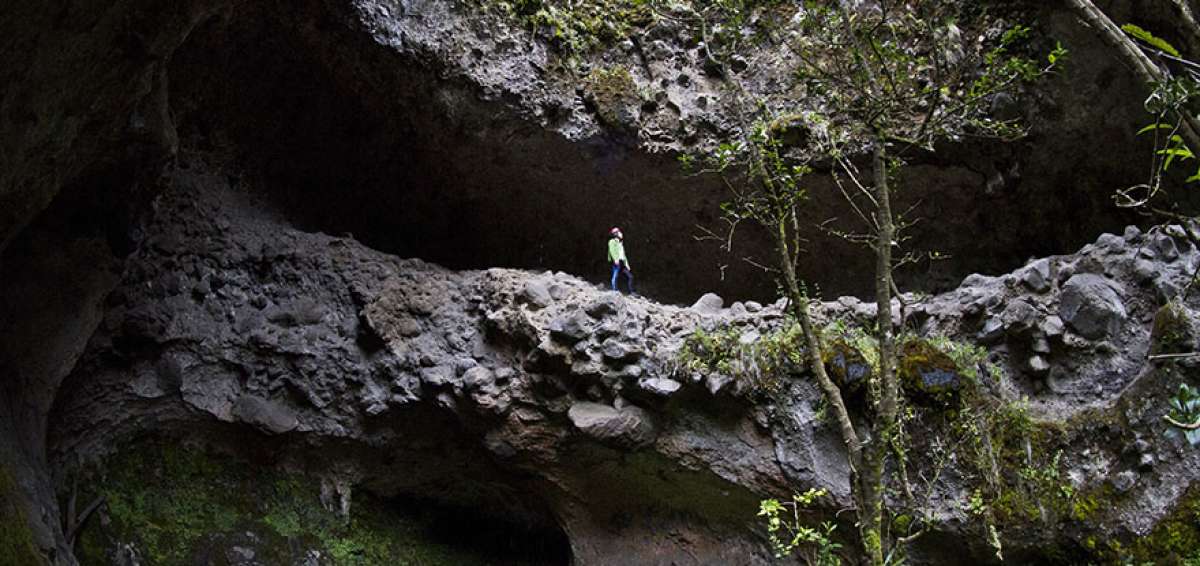 El paisaje dentro de los farallones es fascinante. All&iacute; es posible observar insectos de varias clases as&iacute; como mam&iacute;feros, roedores y aves peque&ntilde;as.