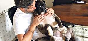 Para Leonardo Anselmi lo &uacute;nico que se le debe dar a un animal es amor y protecci&oacute;n ya que ellos dependen de los seres humanos.