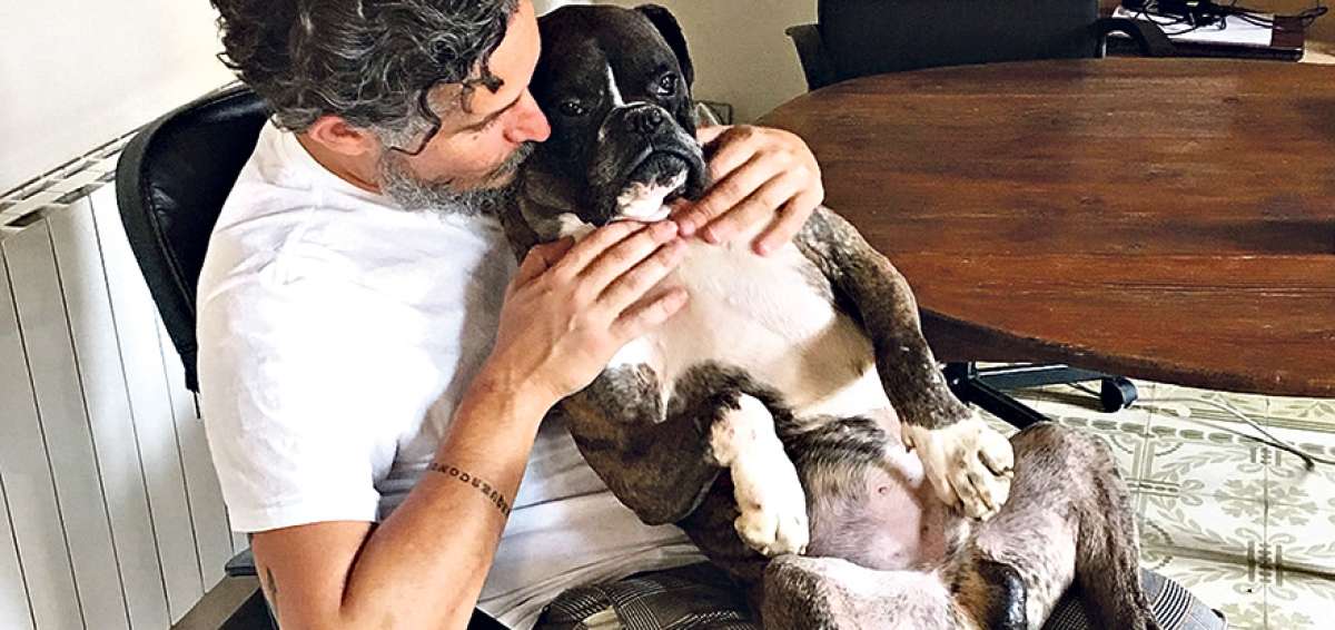 Para Leonardo Anselmi lo &uacute;nico que se le debe dar a un animal es amor y protecci&oacute;n ya que ellos dependen de los seres humanos.