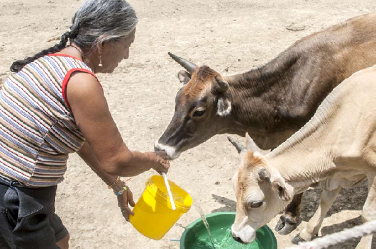Habitantes de La Aguadita no dejar&aacute;n su hogar