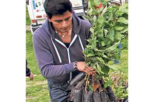 En Azuay ser&aacute;n reforestadas 4.247 hect&aacute;reas de bosques