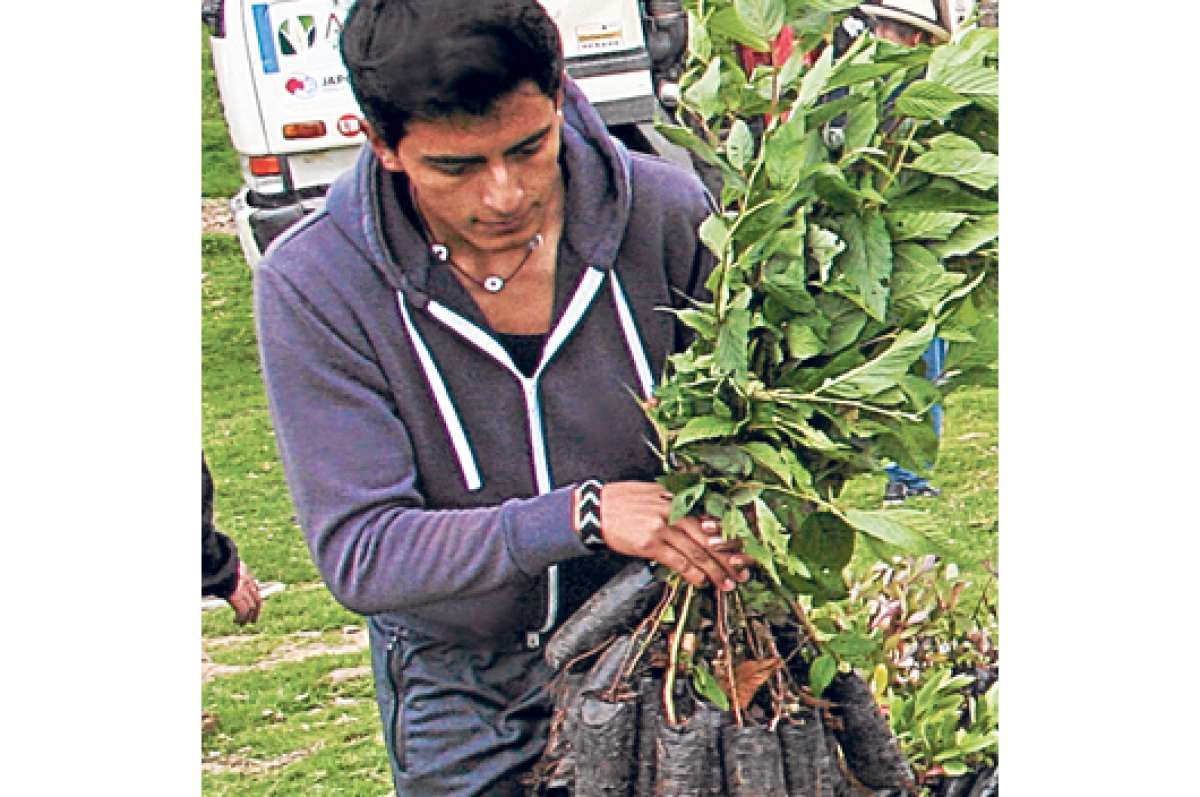 En Azuay ser&aacute;n reforestadas 4.247 hect&aacute;reas de bosques