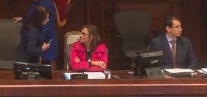 El pleno conform&oacute; ayer sin complicaciones el equipo multipartidista que investigar&aacute; a la presidenta de la Asamblea Nacional, Elizabeth Cabezas.  
