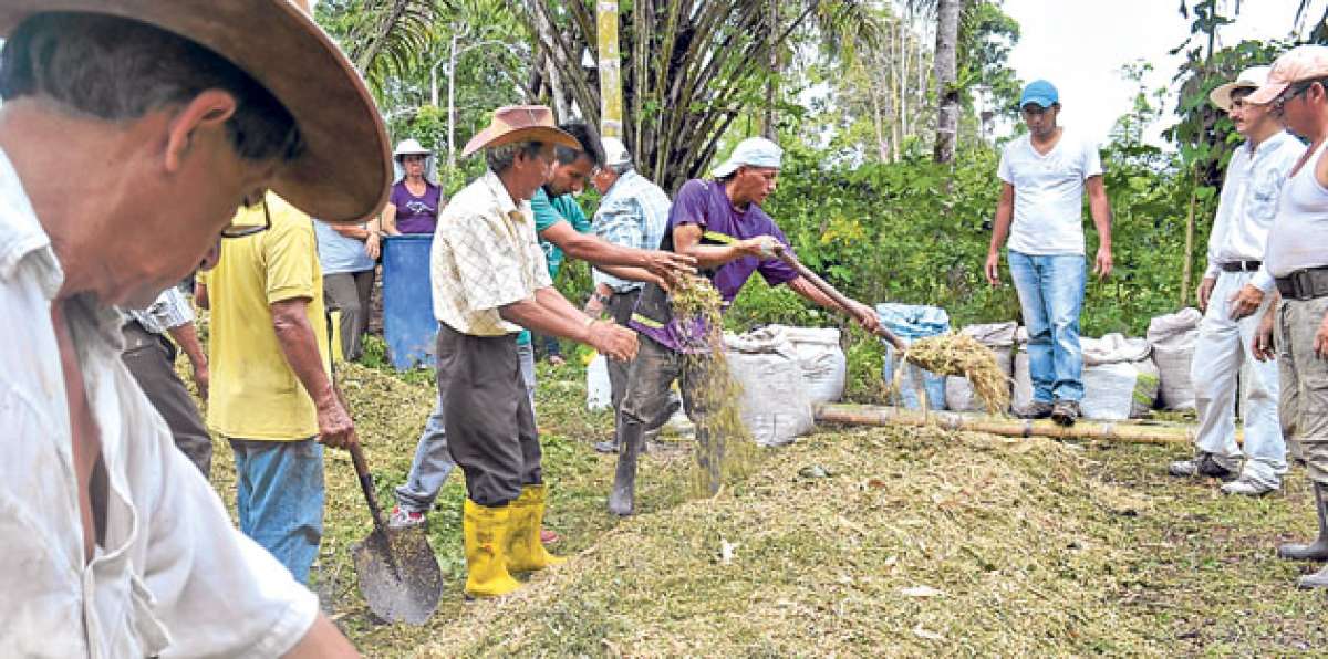 El abono bocashi proviene de un vocablo japon&eacute;s, que significa materia org&aacute;nica fermentada. Foto: cortes&iacute;a Magap