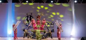 Los bailarines en el Ecuador Salsa Congress demostrar&aacute;n sus destrezas en variados estilos de danza, divididos en 32 categor&iacute;as en el certamen.   