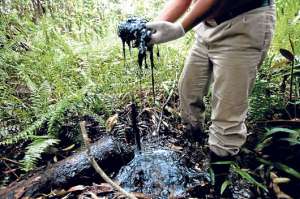 Chevron Corporation contamin&oacute; la Amazon&iacute;a ecuatoriana durante 28 a&ntilde;os. Foto: Archivo.