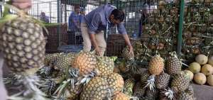 La pi&ntilde;a, pitahaya, aguacate y pl&aacute;tano; productos claves en la exportaci&oacute;n de Ecuador.