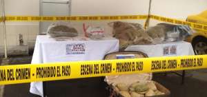 Polic&iacute;a desarticula banda de microtr&aacute;fico en Quito