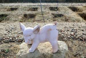 El cementerio ‘Huellas’ en Zamora permite dar sepultura a mascotas con lápida y visitas sin horario.
