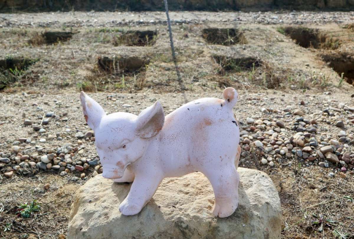 El cementerio ‘Huellas’ en Zamora permite dar sepultura a mascotas con lápida y visitas sin horario.