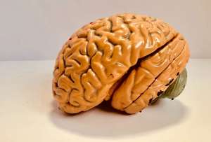 Las consecuencias del covid-19 grave en el cerebro de los pacientes