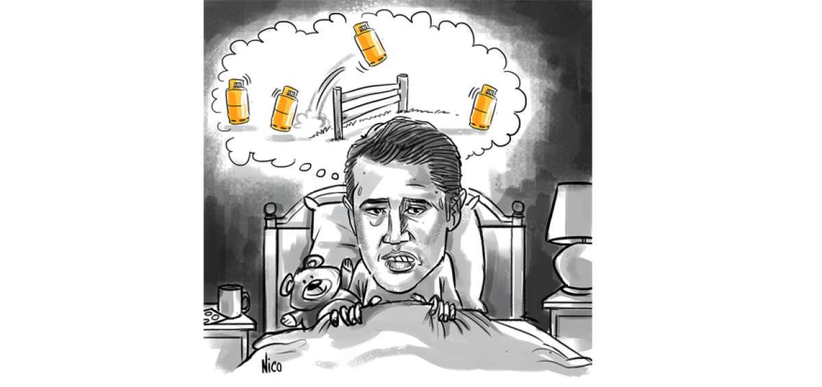 So&ntilde;ando con los subsidios