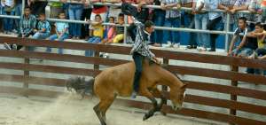 Domar caballos ch&uacute;caros en uno de los principales atractivos de los rodeos, en los cuales se demuestra la preparaci&oacute;n y destreza de los jinetes para mantenerse sobre el lomo del animal.