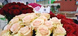 La empresa ha recibido reconocimientos y medallas de oro gracias a la producci&oacute;n de rosas premium.