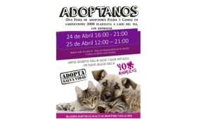 Grupo de ayuda animal realizar&aacute; bazar y  feria de adopciones en Guayaquil