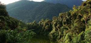 Ecuador participar&aacute; en la COP25 con un mensaje de conservaci&oacute;n clim&aacute;tica