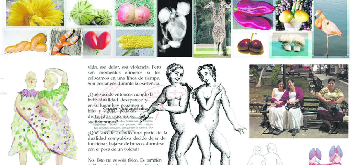 Cuerpo siam&eacute;s es una obra que combina im&aacute;genes de la trayectoria de Leo y Lu con reflexiones sobre las particularidades de los cuerpos considerados distintos. 