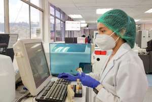 MSP, OPS Y UDLA analizaron el uso del cannabis con fines medicinales