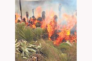 El fuego en 2 cerros de Zaruma, fuera de control