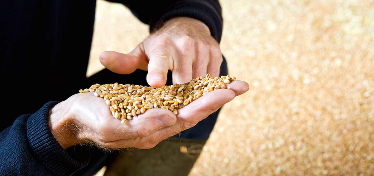 El estilo de vida de hoy ha creado un mercado llamativo para suplementos e ingredientes funcionales que complementan la alimentaci&oacute;n de los consumidores.
