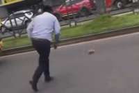 Escape de un cuy detiene el tráfico y se vuelve viral 