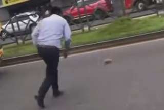 Escape de un cuy detiene el tráfico y se vuelve viral 