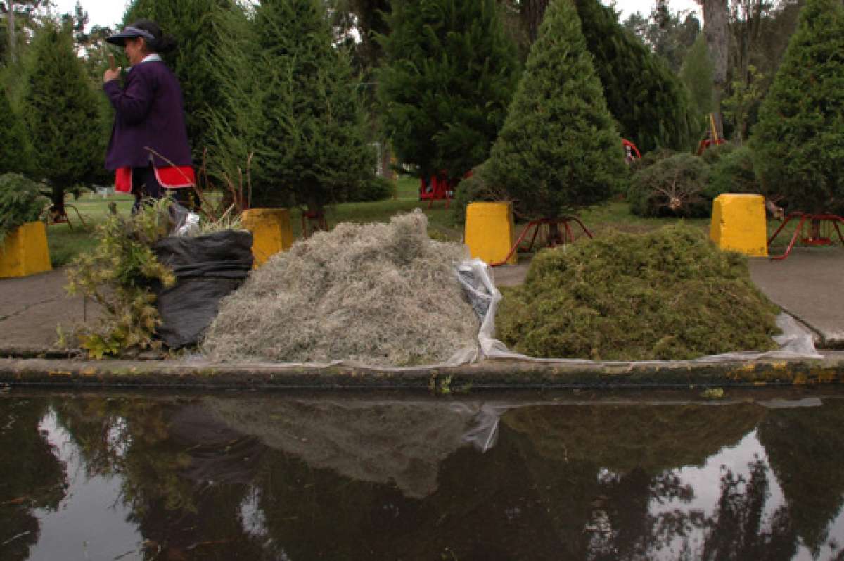 En 2013 en Pichincha, mediante un operativo, fueron decomisados 100 sacos de este material que se comercializaba de forma ilegal. Foto: Archivo