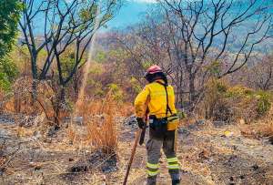 El Ministerio de Educación autorizó la suspensión de clases en el Distrito Ceibos de Guayaquil por un incendio forestal.