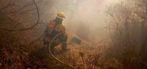 En Guangopolo, 15 bomberos trabajan contra el incendio desde dos flancos.