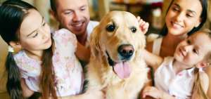 Las mejores razas de perros para la familia