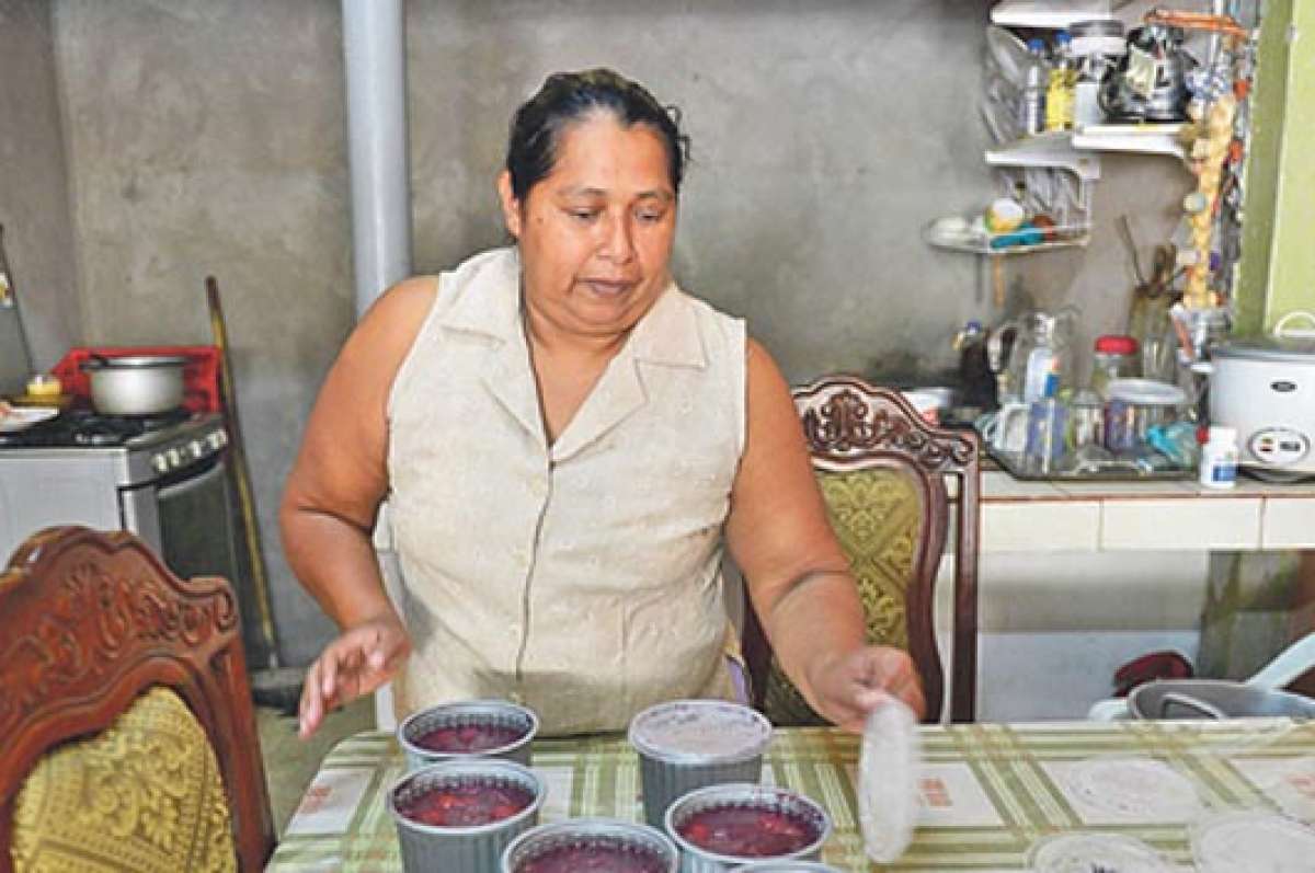 Mercedes Nacipucha es una de las amas de casa que podr&iacute;an acceder al seguro social de aprobarse la reforma.  Foto: Archivo / El Tel&eacute;grafo 