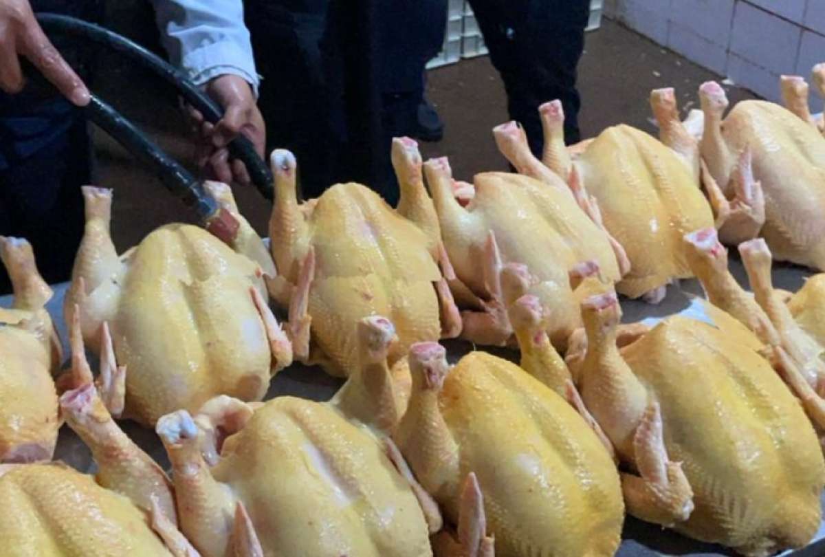 En el sur de Quito fue clausurado un camal clandestino