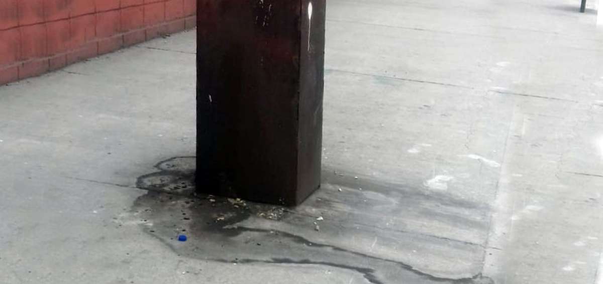 Si Guayaquil apesta es por culpa de los hombres