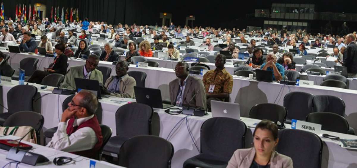Ecuador se pronuncia en la CoP17 sobre el comercio internacional de especies amenazadas