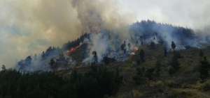 Incendio forestal en Guaranda consumi&oacute; aproximadamente 300 hect&aacute;reas
