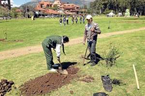 Unas 19 mil plantas nativas ser&aacute;n sembradas este a&ntilde;o en Cuenca