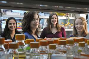 Las creadoras del analg&eacute;sico a partir de levadura (de izquierda a derecha): Isis Trenchard, Christina Smolke, Stephanie Galanie y Kate Thodey. Foto de Rod Searcey del portal phys.org