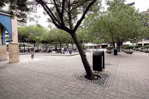 Cient&iacute;ficos aseguran que los bosques mitigan el paso de part&iacute;culas de polvo. En Guayaquil, el &iacute;ndice de &aacute;reas verdes es de 1,1 metros cuadrados por habitante. Foto: Archivo