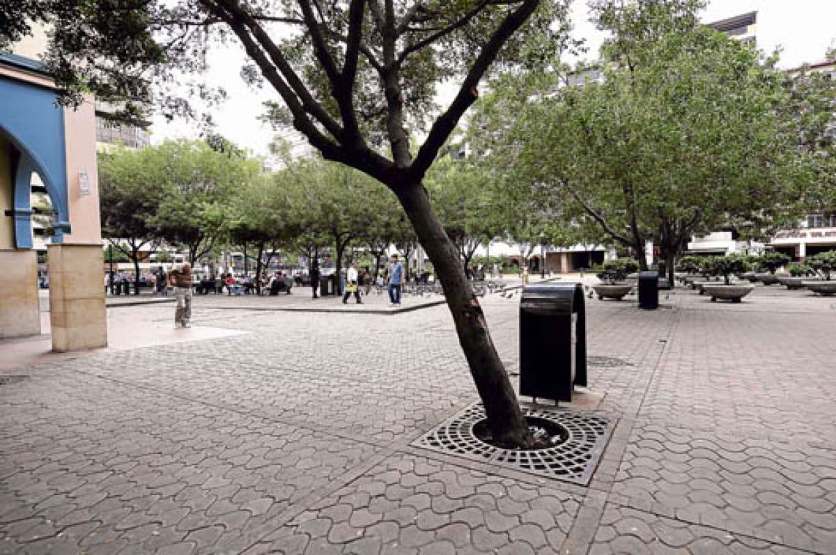 Cient&iacute;ficos aseguran que los bosques mitigan el paso de part&iacute;culas de polvo. En Guayaquil, el &iacute;ndice de &aacute;reas verdes es de 1,1 metros cuadrados por habitante. Foto: Archivo