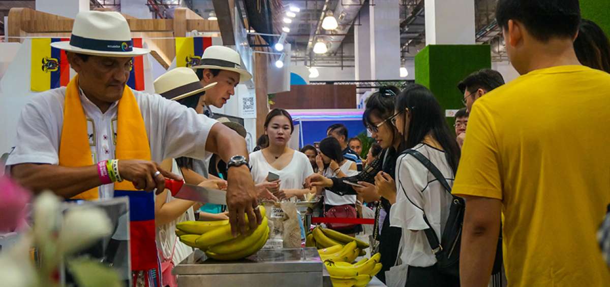 El sector productivo de banano y pl&aacute;tano se ubica como el mayor exportador en lo que va del a&ntilde;o, seguido por acuacultura.