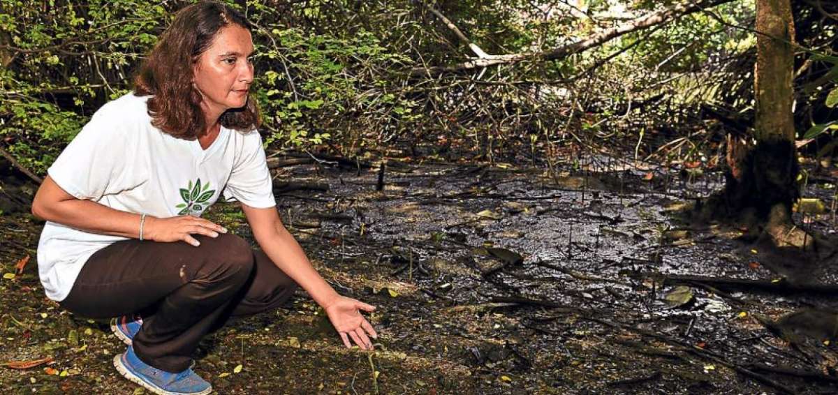 "Las autoridades de Guayaquil no le han dado importancia al estero"