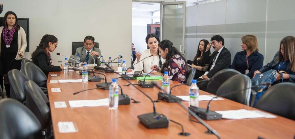 La Comisi&oacute;n de Justicia de la Asamblea es la encargada del informe para el primer debate del proyecto.