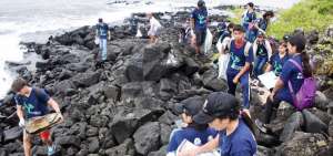 En esta jornada fueron recogidos 4.353,4 kilogramos de desechos en 119 kil&oacute;metros de costa de 46 sitios, que luego de ser clasificados y pesados, finalmente fueron trasladados a los centros de reciclaje y rellenos sanitarios correspondientes.