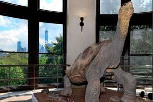 Foto: Twitter @parquegalapagos
