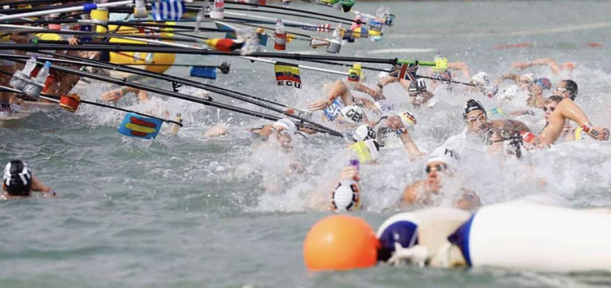 Ecuador tuvo cinco participantes en la primera fecha del Mundial de Aguas Abiertas, uno en la categor&iacute;a femenina y cuatro en el cuadro masculino.