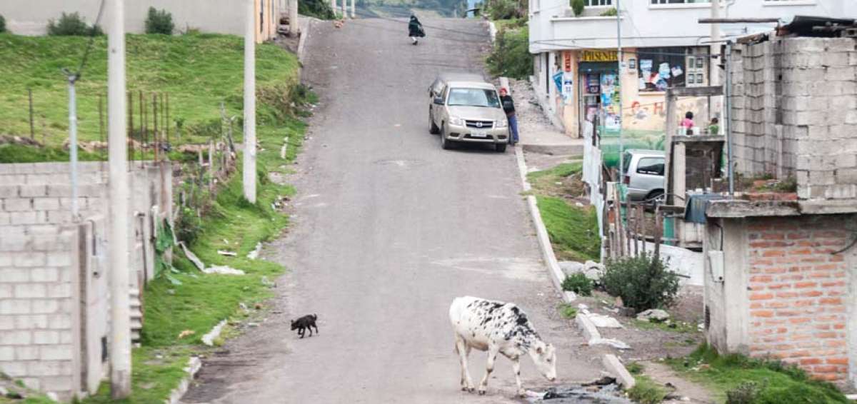 En el barrio Monte Rey, lo que hasta hace a&ntilde;os era rural, se est&aacute; convirtiendo en urbano poco a poco.