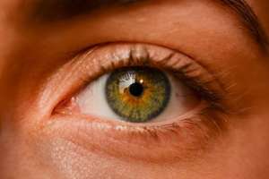 Los d&eacute;ficits microvasculares observados en enfermedades neurodegenerativas podr&iacute;an generar la merma de visi&oacute;n. 