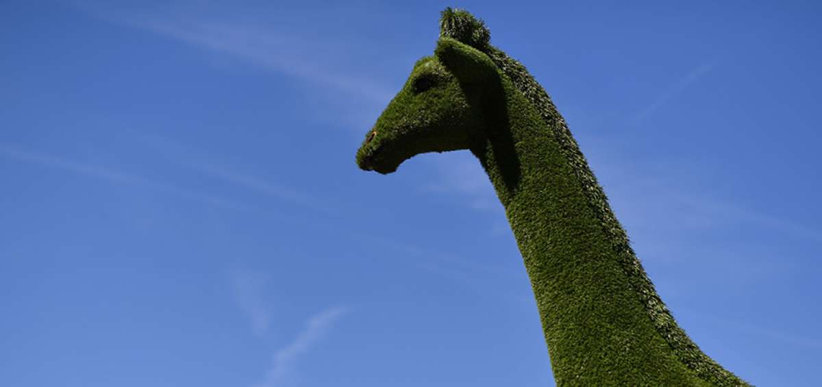 Un grupo de jardineros y dise&ntilde;adores elaboraron una jirafa gigante de c&eacute;sped, en Londres. La muestra ser&aacute; inaugurada hoy. 